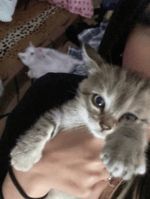 in this darkness sped up