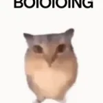 boing