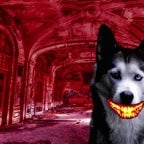 smile-dog-jumpscare-167171