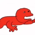 C00LKID PH0NK