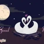 Ceylan Koynat - Puslu Bir Gece (Y-Emre Music Club Remix)