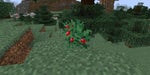 sweet berry bush - Place 6
