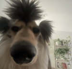 demoman laughing full