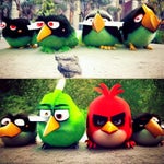 angry Birds echo the movie