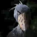 COLLAPSE AND RUBBLE FALLING SOUND EFFECT FREE