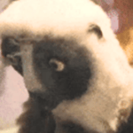 hey watson, cinderblock - Sound