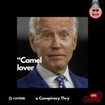 Camel Lover