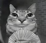 that's the last straw