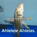 achlelele achlelas - Sound