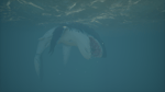 Ancient skeleton spawn sound sea of theives