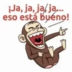 ajjajajaa
