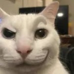 67 song for blackies