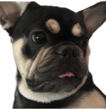 Party in the elevator