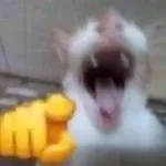 ERAAAAAHHHAAHAAHAAAAAAAA, no