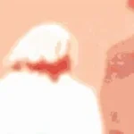 Recording 03/24/26 14:25:40