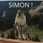 Simon