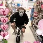 brother noah lil godd loud