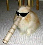 Rick Astley Give You Up