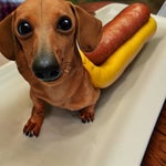 ask me about my weiner
