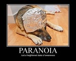 paranoia