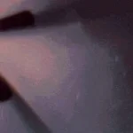 skibidi toilet phonk