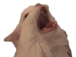 Its been a year daddy (Meme) Sound Effect