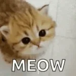 notyourliam agebaiter