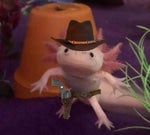 bingo bango bongo bish bash bosh