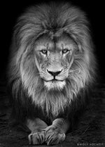 Motivation mauvaise nouvelle on peut pas plaire à tout le monde