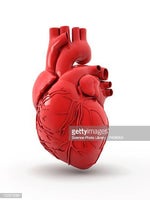 Battement de coeur - heart rate