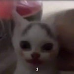 depositenme a mi bcp me van a matar pipipi