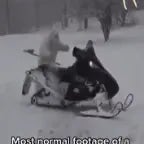 Tf going on in Alaska  shorts  memes