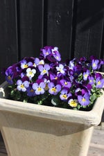 Rapperen Elias Danmark Har Talent 2017 Audition 2