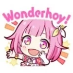 Wonderhoy V2