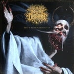 Throne of Flies - Immortal Disfigurement