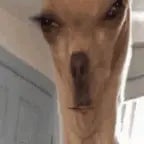 buuuuuhhhhhhhhhhhhhh