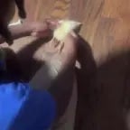 Who did this to you Roger