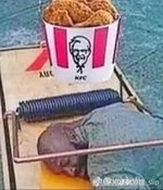 Antonio says its no good