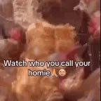 Watch who you call yo homie