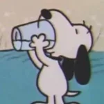 Honest - the neighbourhood