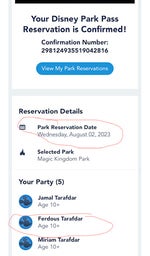 you spin me right round