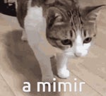 Snore Mimimimimimimi Sound Effect (Cartoon Sleeping Sound Effec