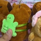 Kapibara Yeşil sülüfet