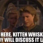 Not here kitten whiskers