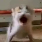 Sponge Bob sad effect