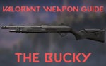 Valorant Weapon Bucky Single
