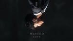 Wasted Love