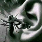 "Moshi Moshi Baka Arigato Sharingan Rasengan"