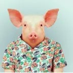 Mexican cartel music