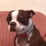 Le clochard cris fort [Meme] (copy)